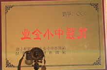 优强中小企业